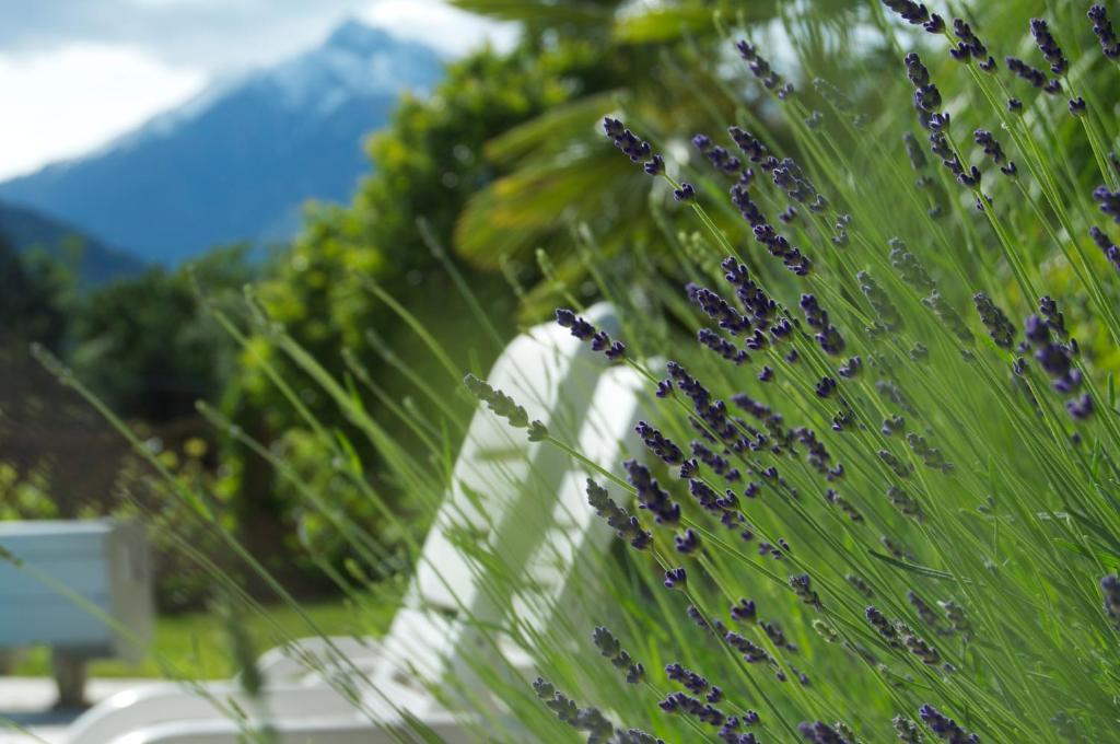 Hotel Schoenbrunn Merano Esterno foto
